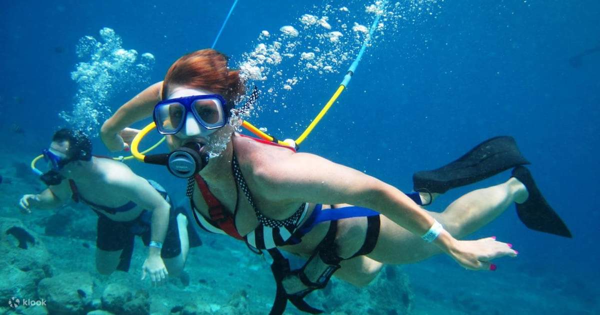 Koh Rong Samloem Snorkeling and Diving Experience from Sihanoukville